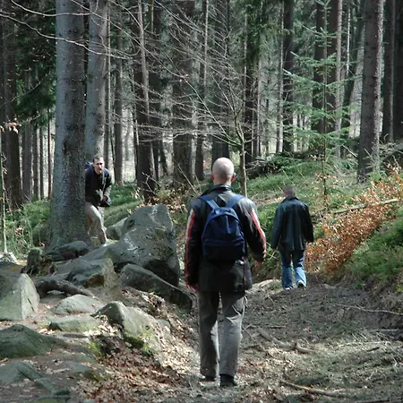 Domstolat